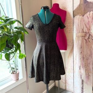 Rolla Coster Black and Gold Mini Dress